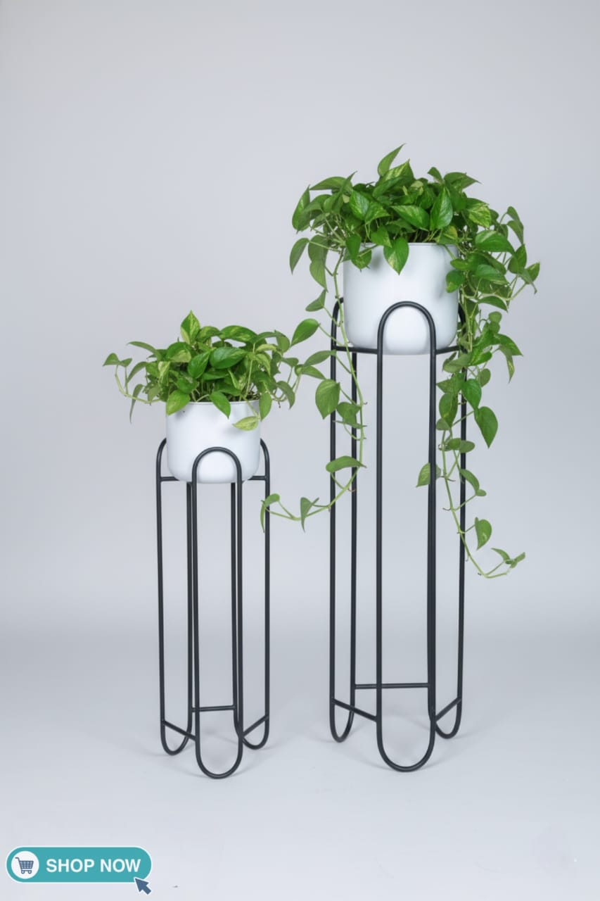 PLANTER STANDS