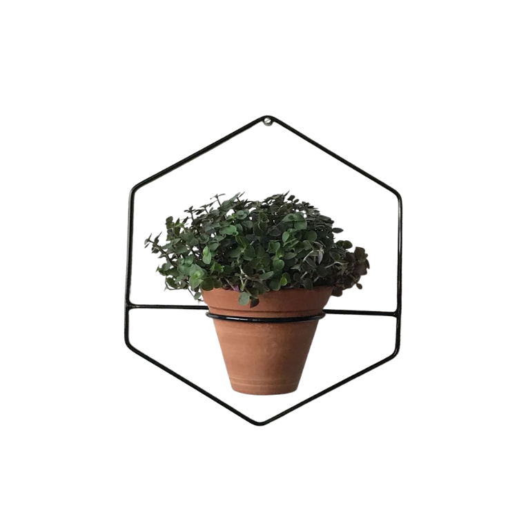 OVIL DECO HexaNest Wall Planter set of 1