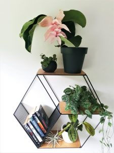 OVIL DECO Hexagon Wall Shelf Planter Stand