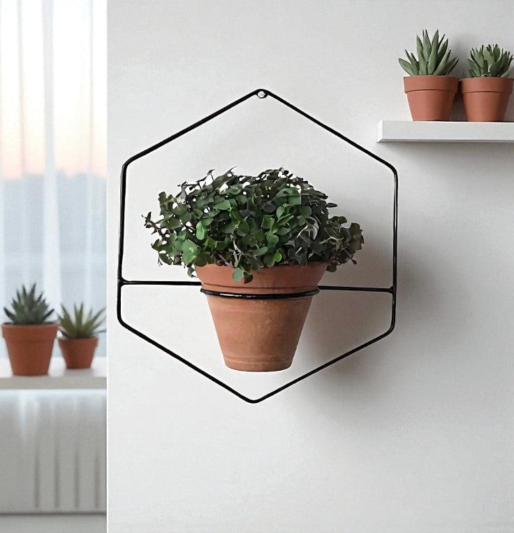 OVIL DECO HexaNest Wall Planter set of 1