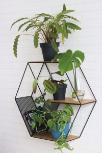 OVIL DECO Hexagon Wall Shelf Planter Stand