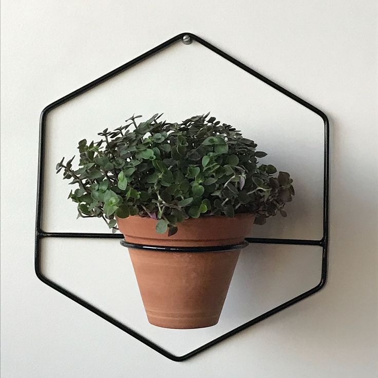 OVIL DECO HexaNest Wall Planter set of 1